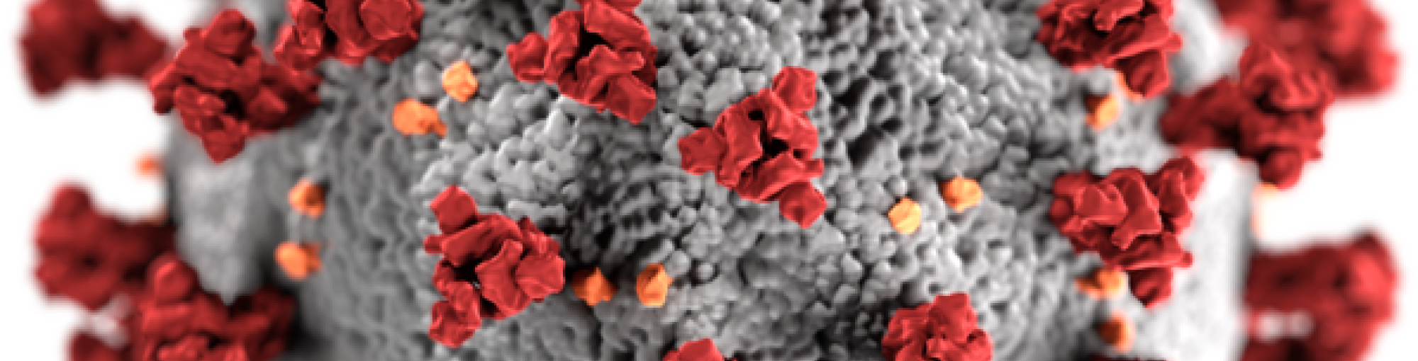 Coronavirus COVID 19 Thumbnail