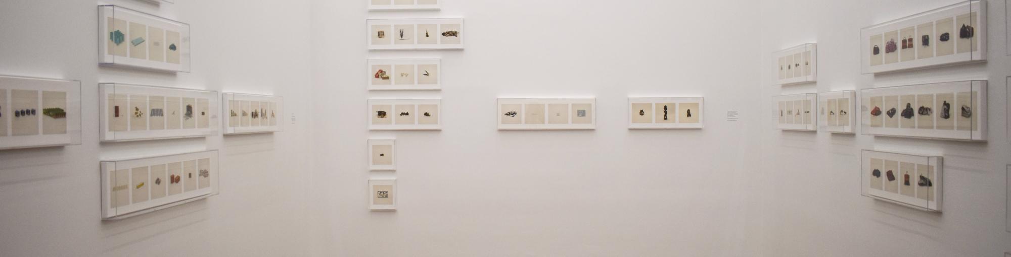 Musée 5 Thumbnail