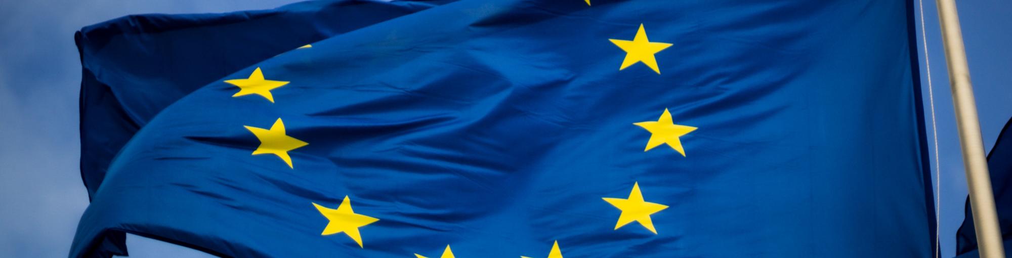 Drapeau européen Vignette