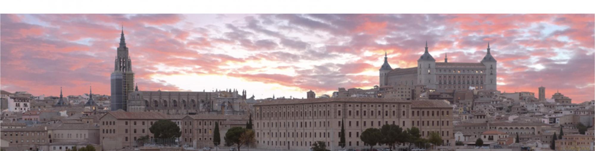 ICOMAM Conference 2021 Vignette