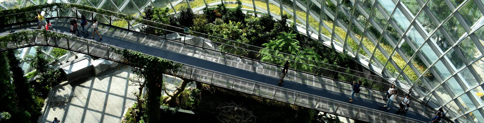 sustainability Vignette