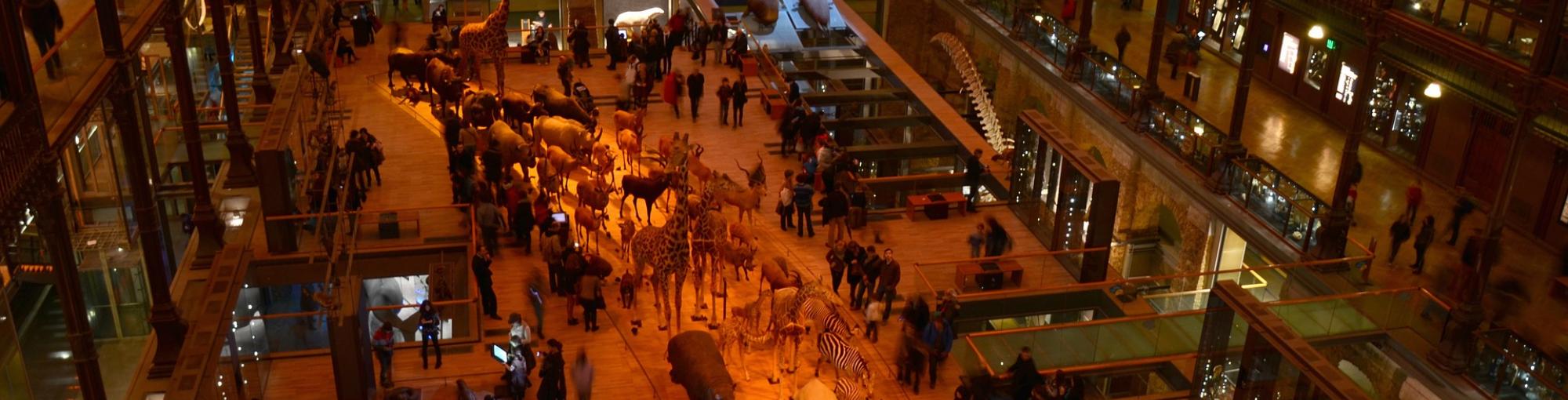 galerie évolution